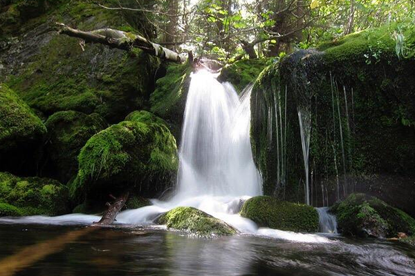 Mausi Falls